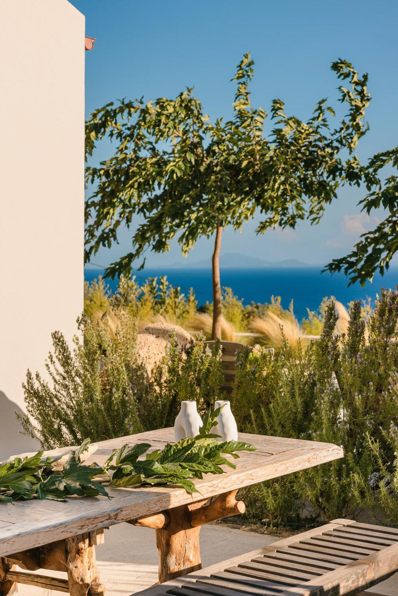 Spathes Suites Kefalonia - Luxury Suites Ratzaklion Bagian luar foto
